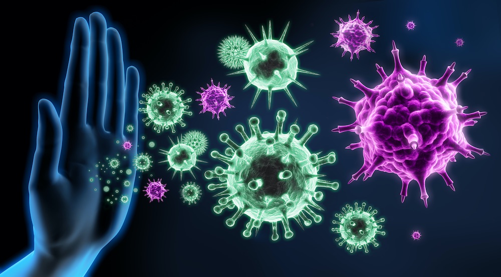 Immunsystem Abwehrkräfte Viren